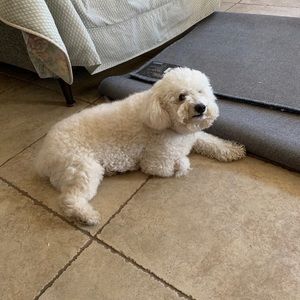 Meet your Posher, Nathan